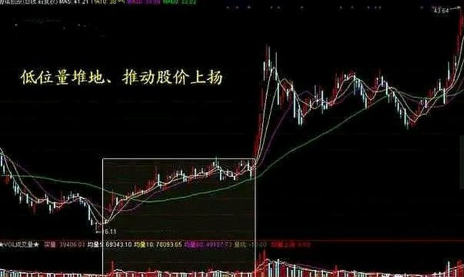 79456濠江论坛最新消息今天,聚焦濠江论坛，解读最新消息与深度洞察