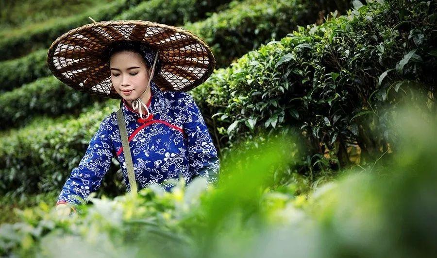 天下天空彩免费资料大全百度,天下天空彩免费资料大全百度，探索与启示