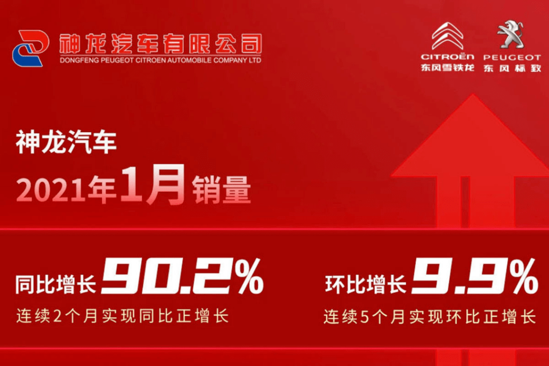 2025年今晚新澳256期资料,探索未来之门，新澳彩票256期资料与我们的期待