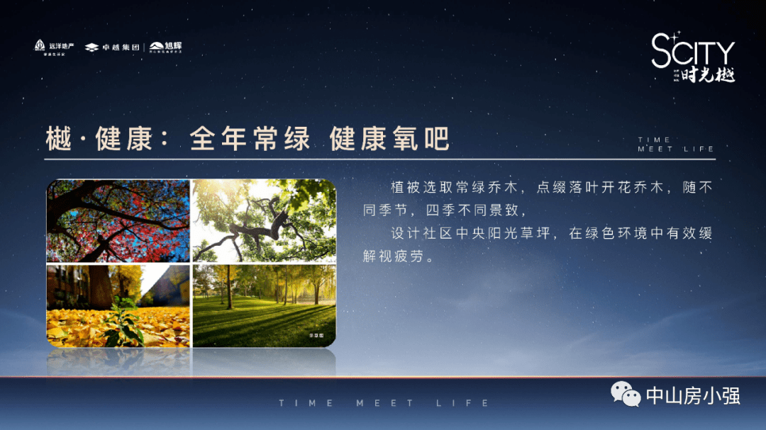 新澳精准资料大全,新澳精准资料大全——探索与解析