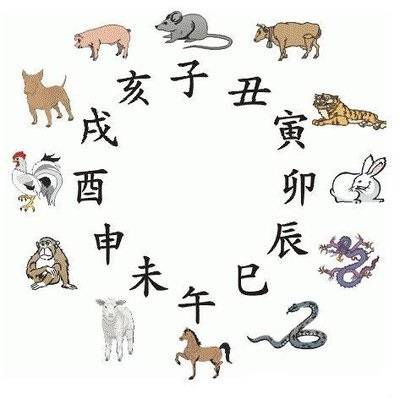 2025今晚开的四不像生肖图,探索四不像生肖图，一场关于2025今晚的神秘预言