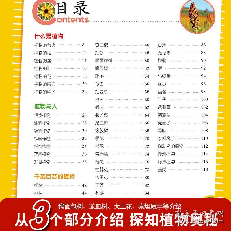 正版资料全年资料大全4949,正版资料全年资料大全4949，一站式获取优质资源的必备指南