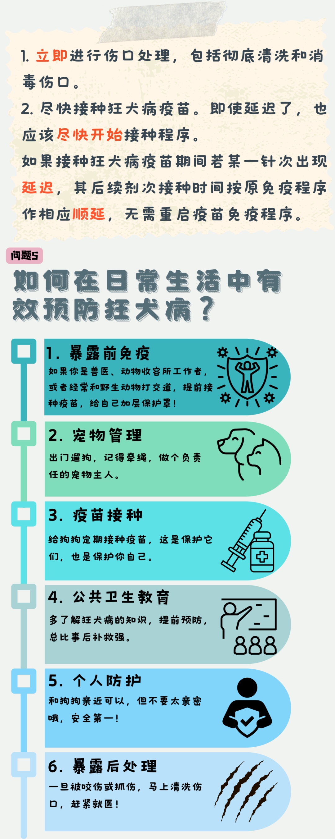 澳门四不像正版资料大全凤凰,澳门四不像正版资料大全凤凰，揭开神秘面纱下的真相