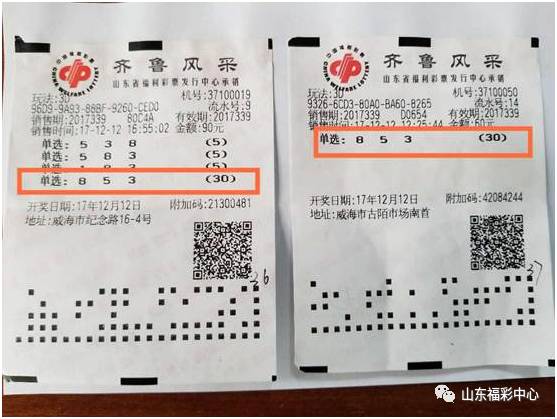 澳门一码中精准一码的投注技巧,澳门一码中精准投注技巧探索