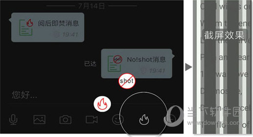2025管家婆一码一肖资料,揭秘2025管家婆一码一肖，探寻背后的秘密资料