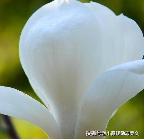2025澳门今天晚上开什么生肖啊,澳门今晚生肖预测，探寻未来的幸运图腾（虚构文章，仅为娱乐）