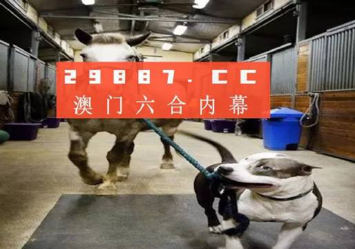 澳门一肖一码一必中同舟前进,澳门一肖一码一必中之同舟前进