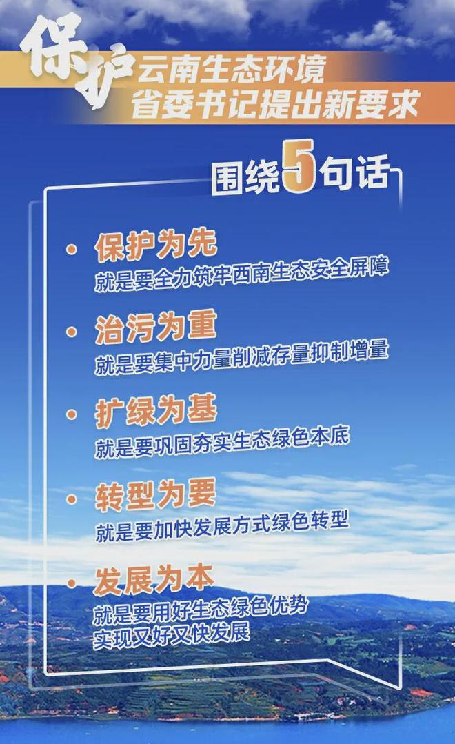 新澳门管家婆的一句话,新澳门管家婆的一句话，智慧与勇气的象征
