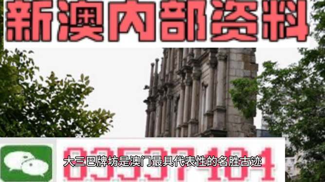 新澳门最精准正最精准,新澳门最精准——探索精准预测的魅力