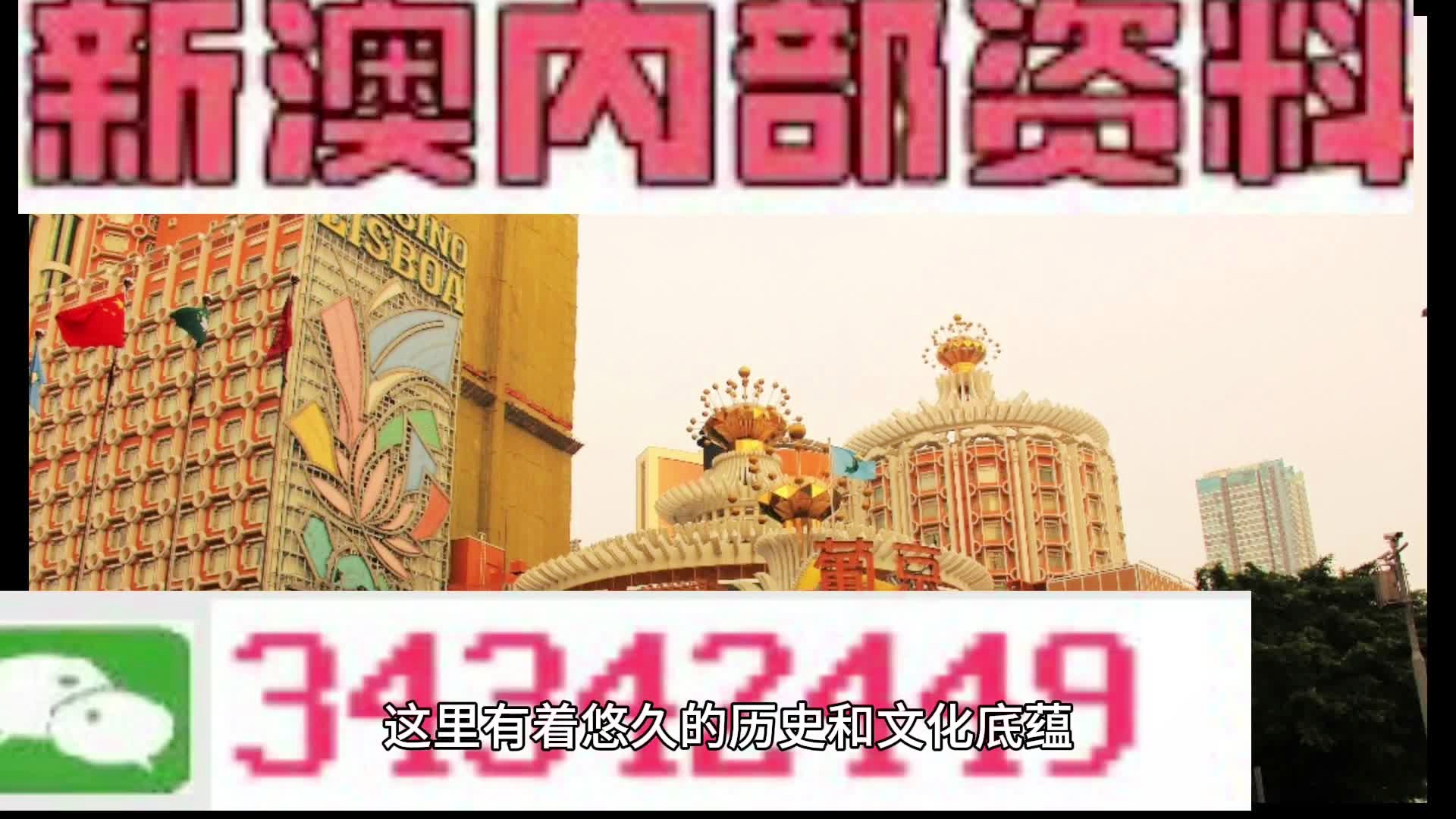 新奥门内部免费资料精准大全,新澳门内部免费资料精准大全——探索澳门的多元魅力