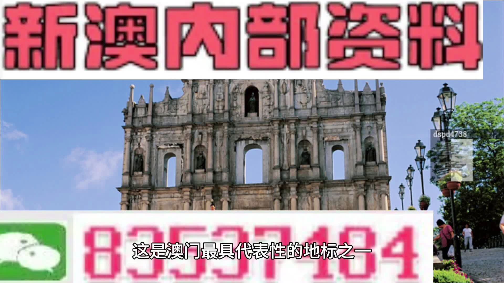 新澳门今晚开特马开,新澳门今晚特马开彩的期待与探索