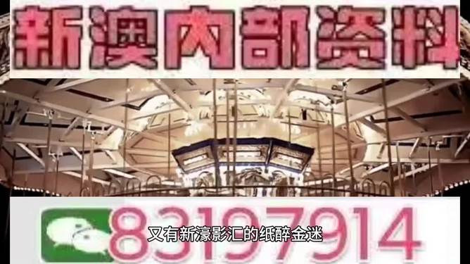 2025澳门特马今晚开奖113期,澳门特马今晚开奖第113期，历史、文化、经济与社会影响