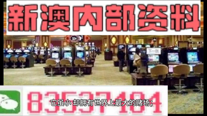 澳门正版免费全年资料大全旅游团,澳门正版免费全年资料大全与精彩旅游团体验